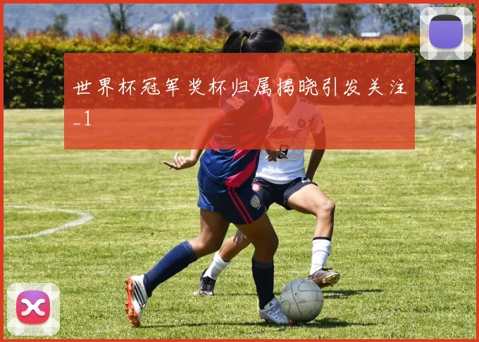 世界杯冠军奖杯归属揭晓引发关注_1