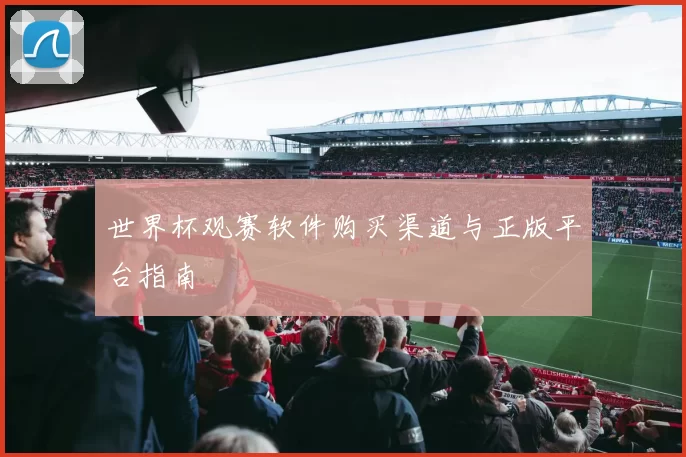 世界杯观赛软件购买渠道与正版平台指南