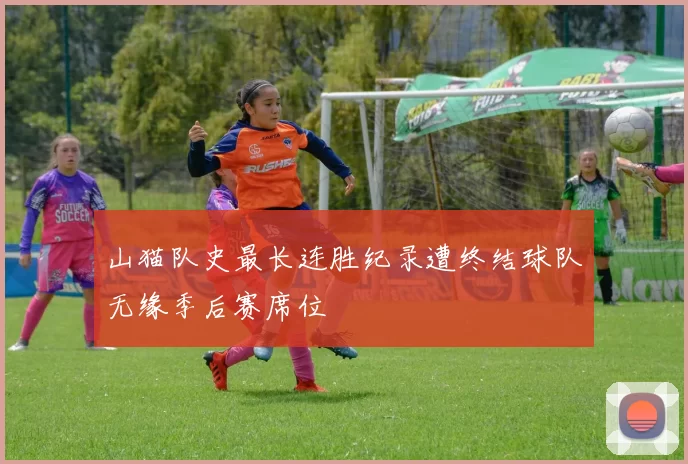 山猫队史最长连胜纪录遭终结球队无缘季后赛席位