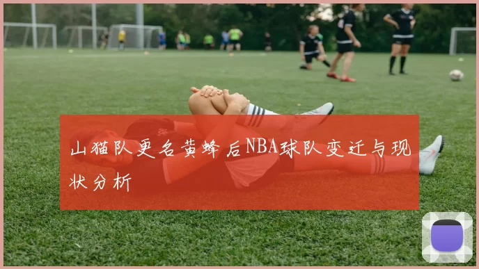 山猫队更名黄蜂后NBA球队变迁与现状分析